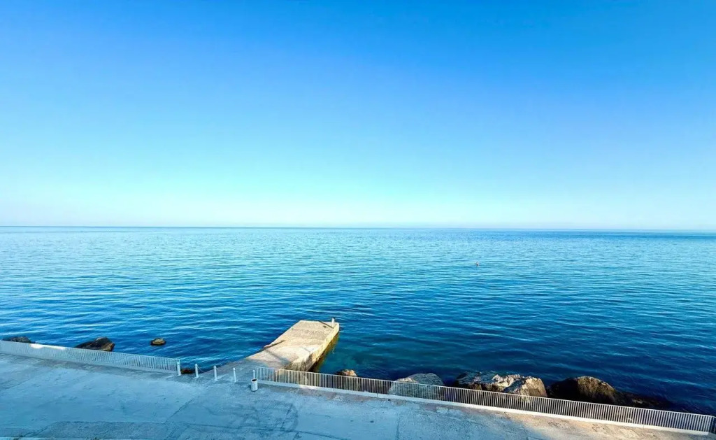 Магнолия - фото 9