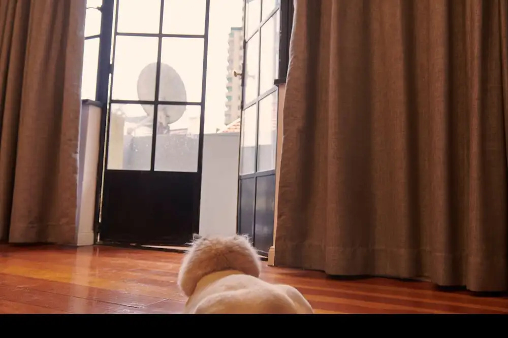 Miss SU's Apartment - Fuxing St