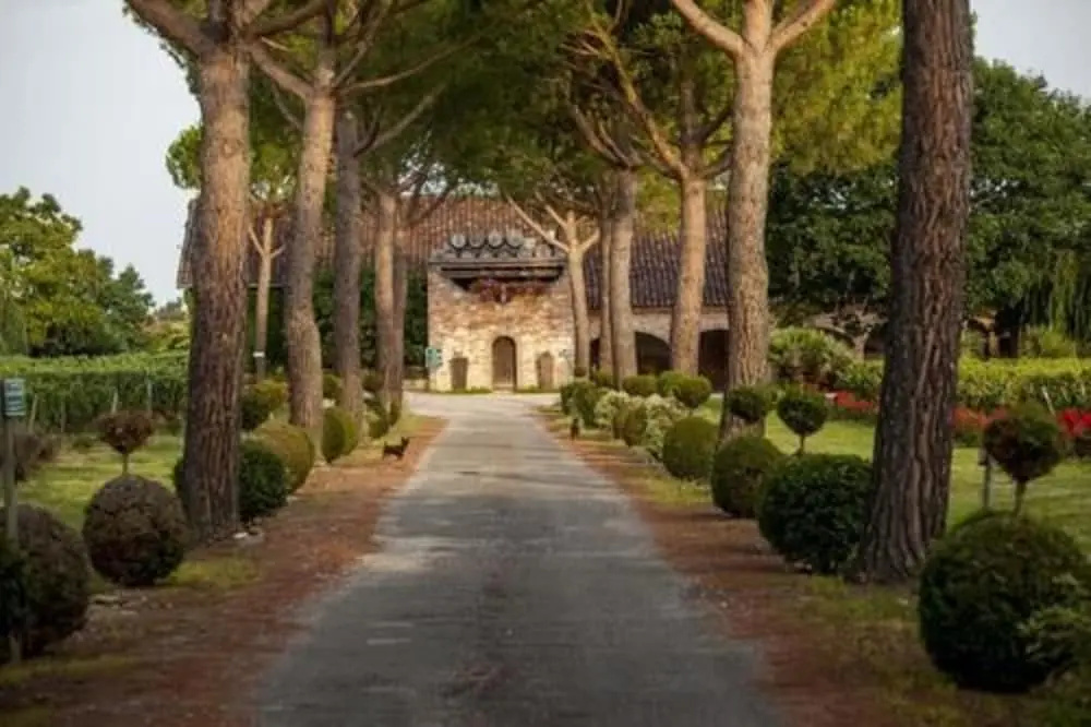Chateau Saint Louis