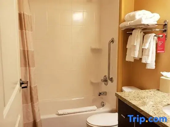 TownePlace Suites Detroit Auburn Hills - Chambres