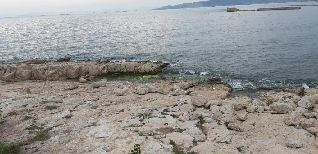 Beach & Waterfront
