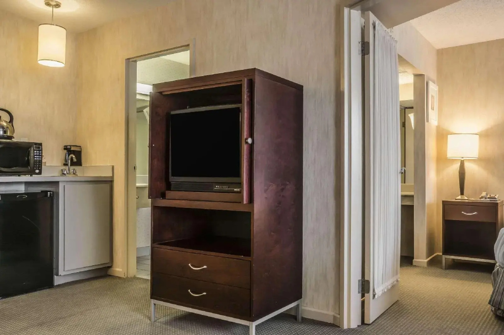 Comfort Suites London - Général