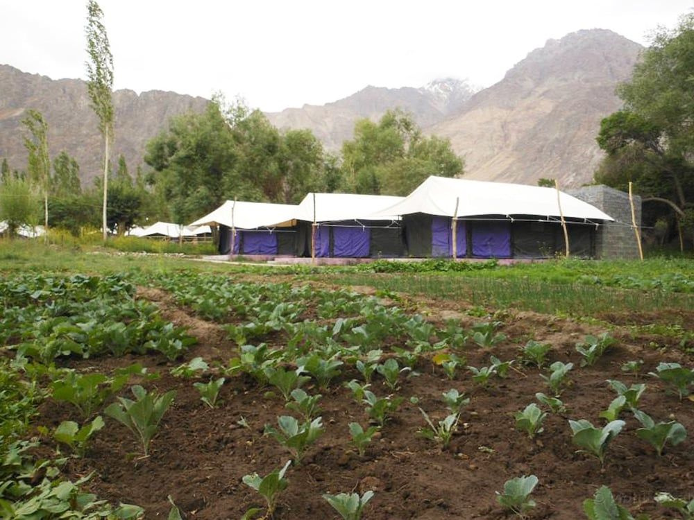 Dowa Deluxe Camp