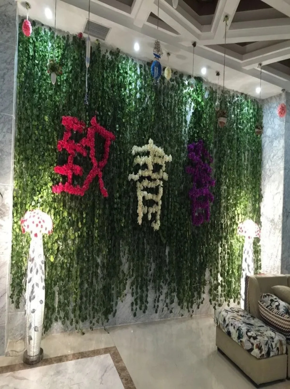 To Youth Themed Hotel