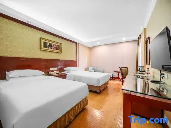 Vienna Hotel Xiangyang Railway Station - Chambres