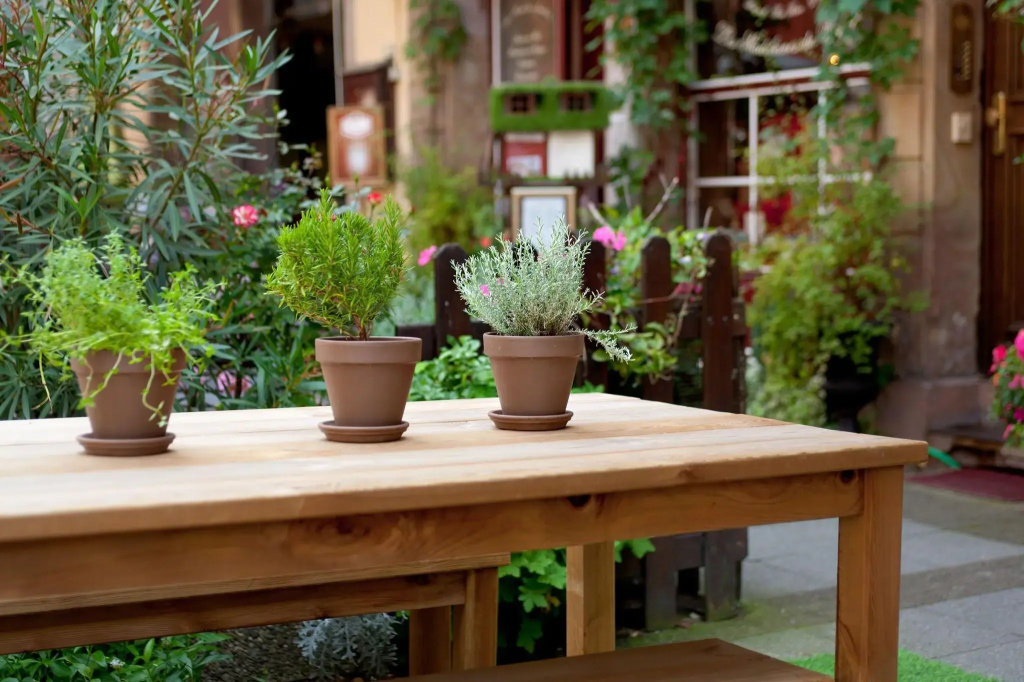 Balcony & Terrace