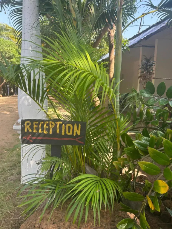 Starfish Beach Bungalows