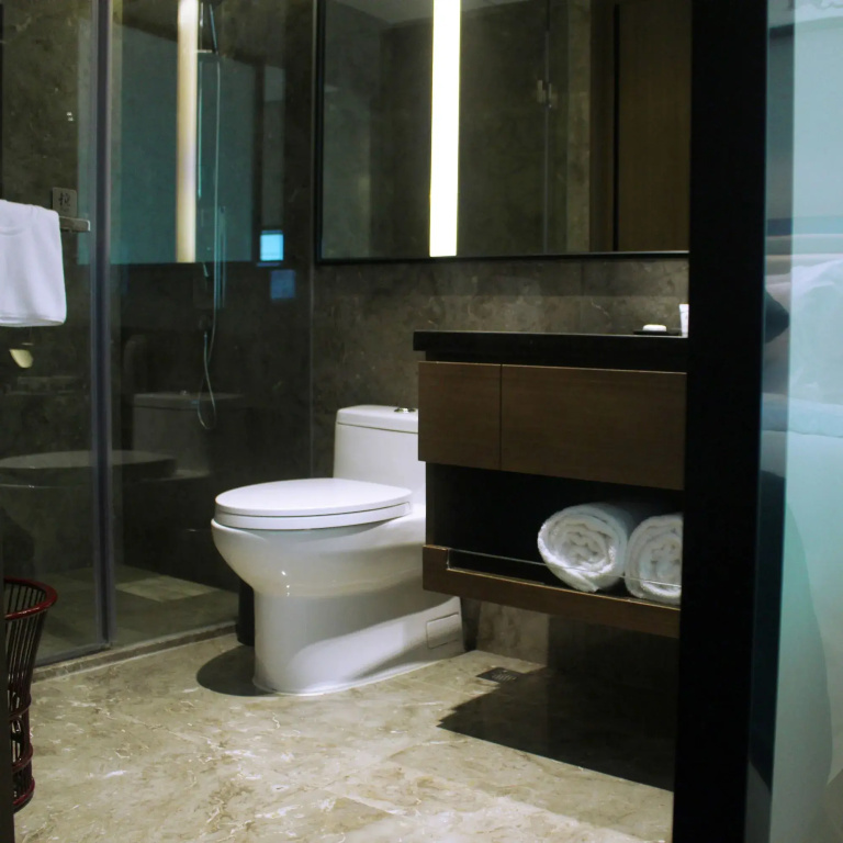 Wanyue Grand Skylight Hotel Shenzhen - Général