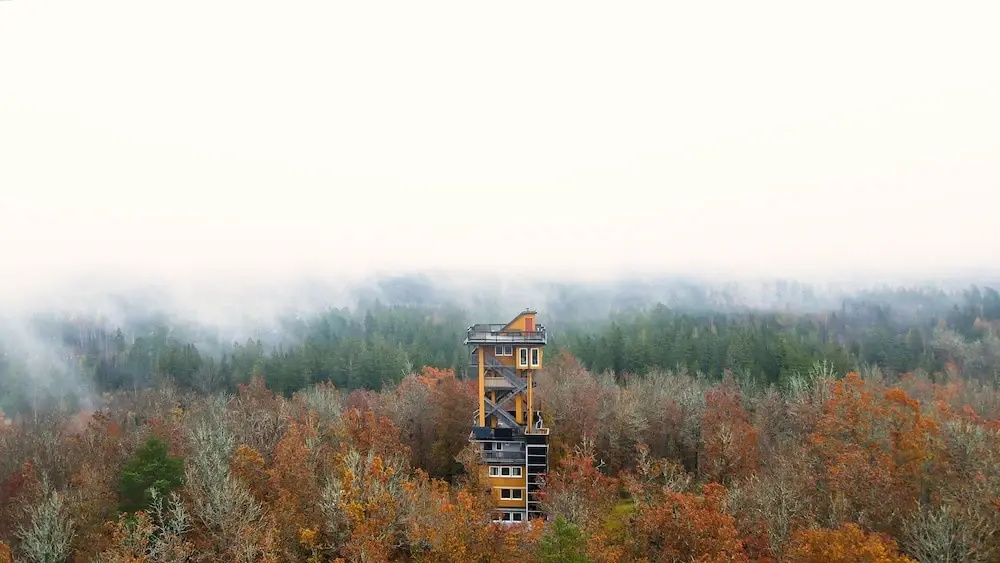 Hotel photo 40