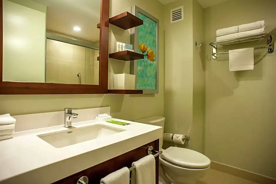 Hampton Inn by Hilton Merida - Chambres