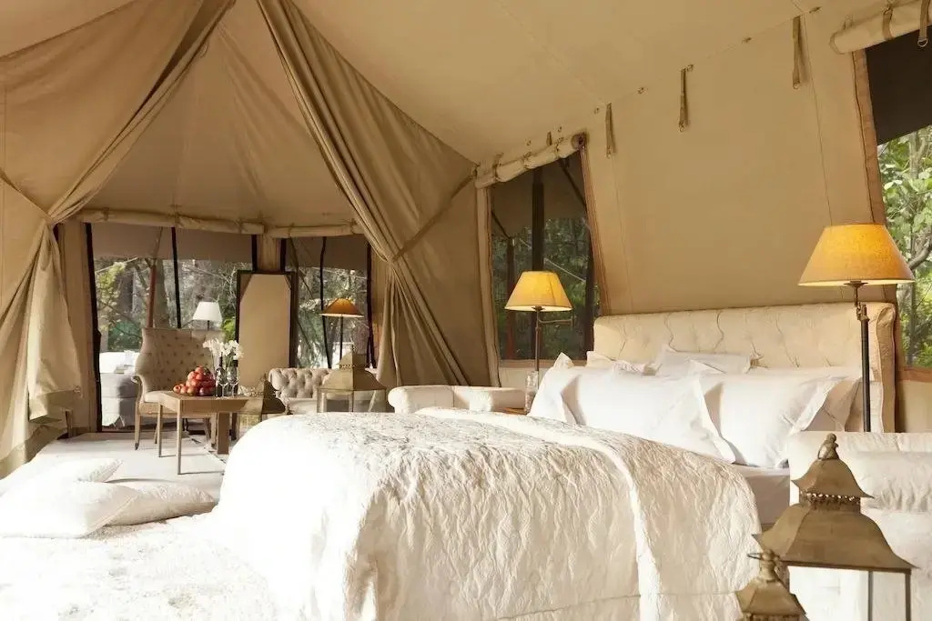 Safari Luxus Lodge - Meisters Hotel Irma - Général