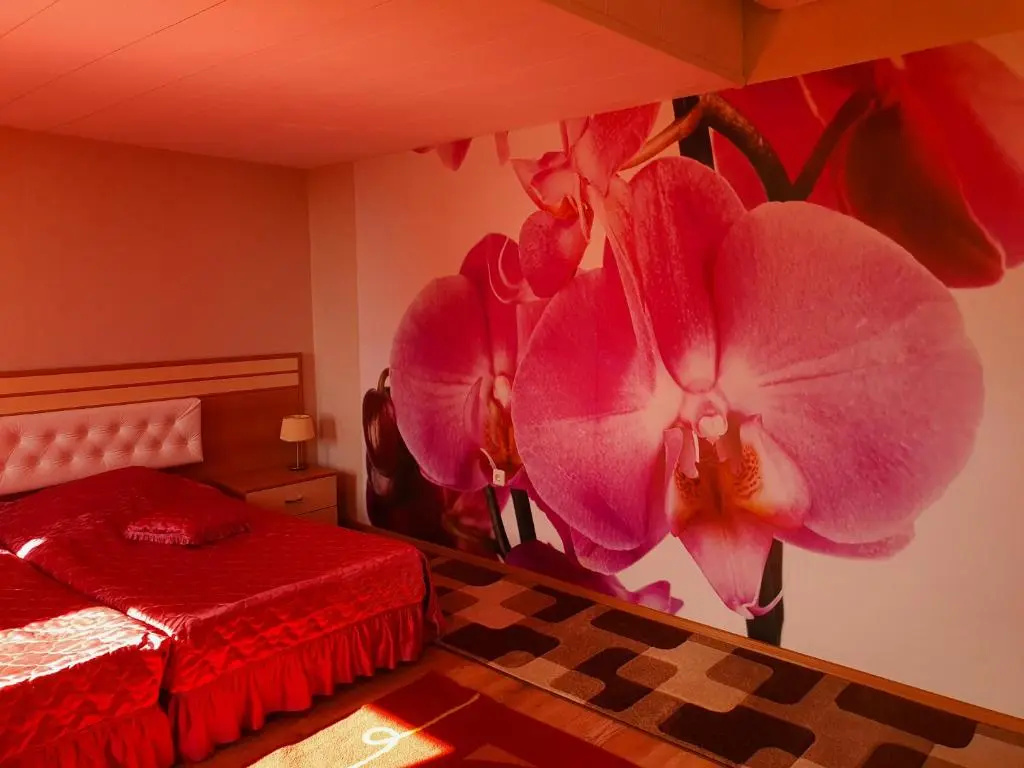 Dobrudja - Chambres