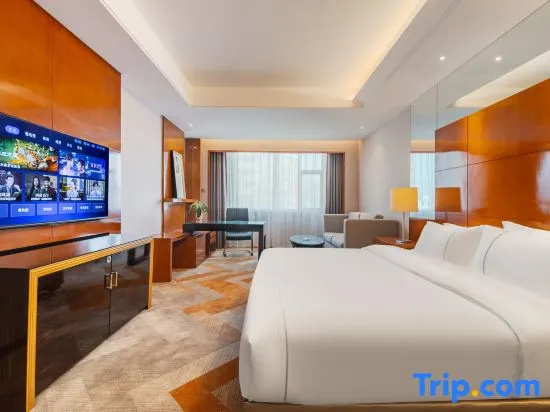 Executive Double room (full double bed)
