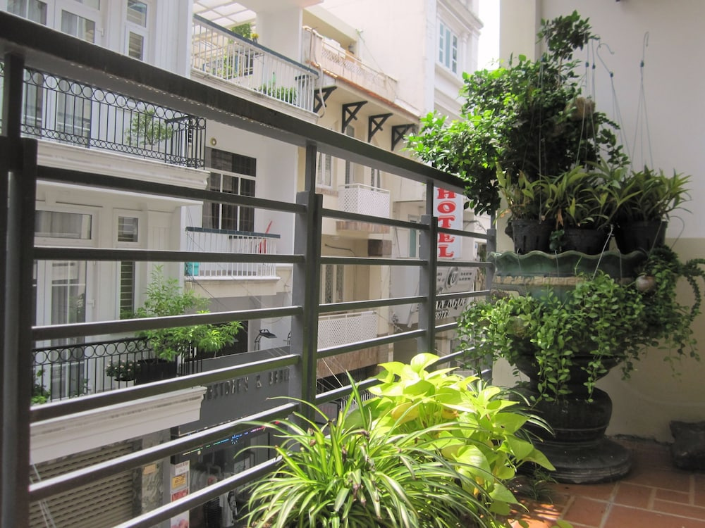 The Lily Hostel and Coffee