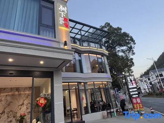 Tree Retreat · Designer Leisure Homestay (Sanqingshan Scenic Area Branch)