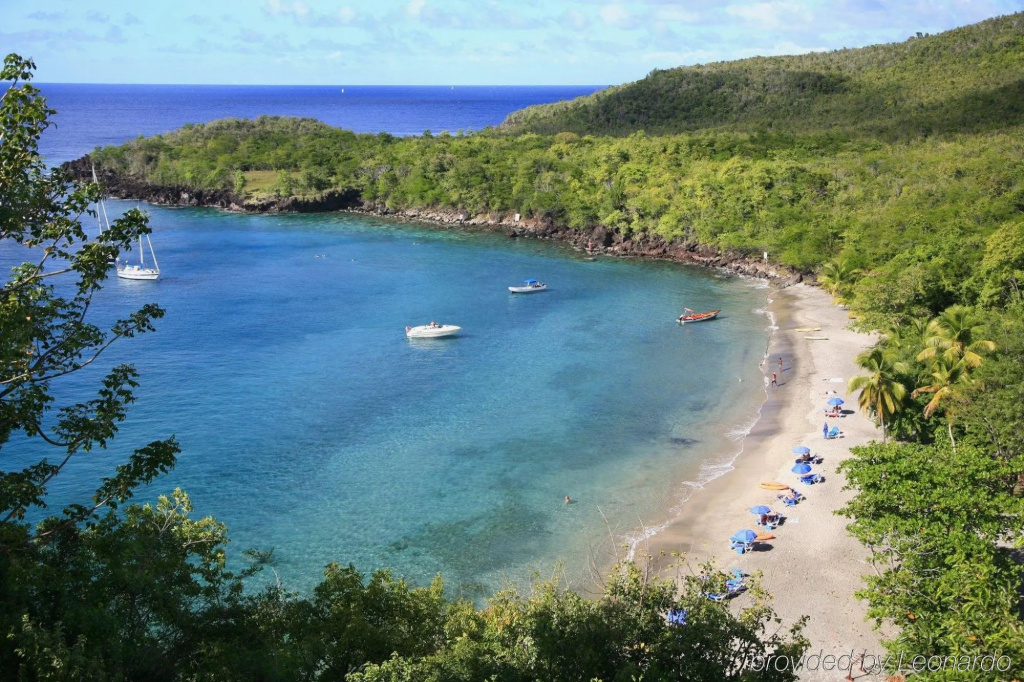 Beach & Waterfront