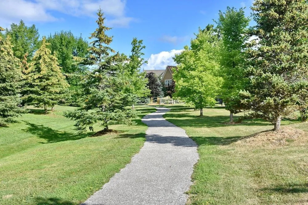 171 Snowbridge - фото 19