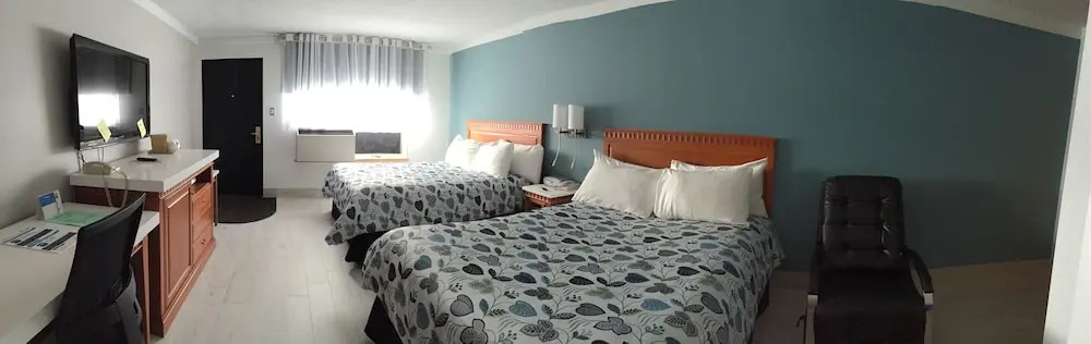 Standard Quadruple Basement room