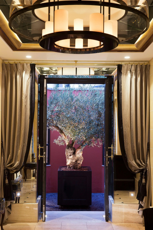 Le Belmont Paris 31