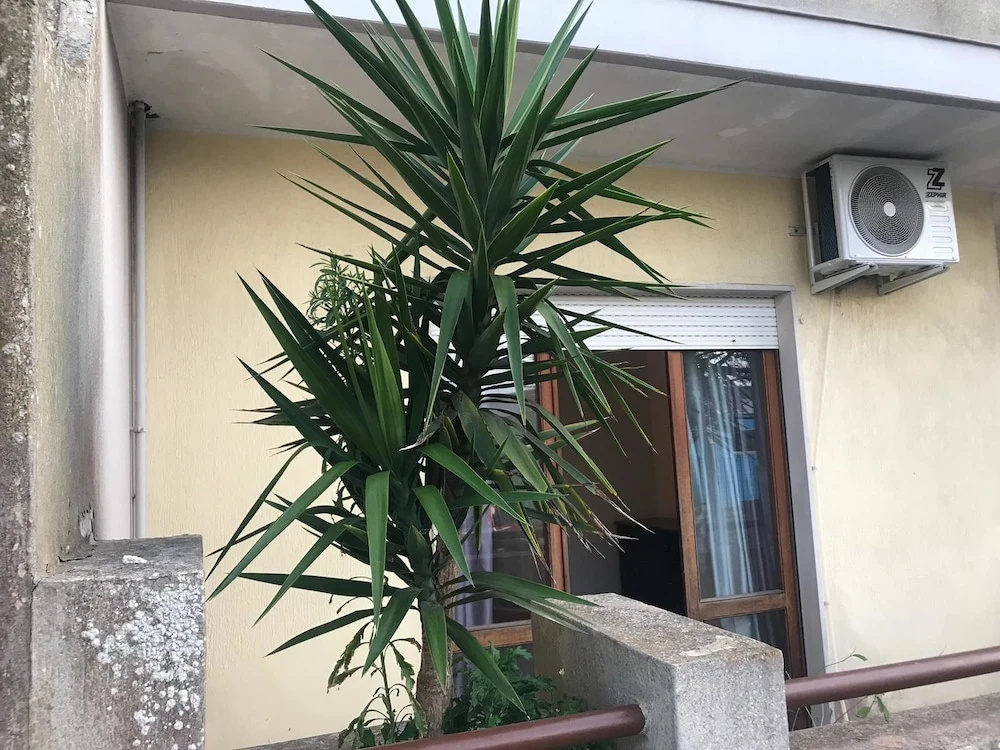 Il Girasole