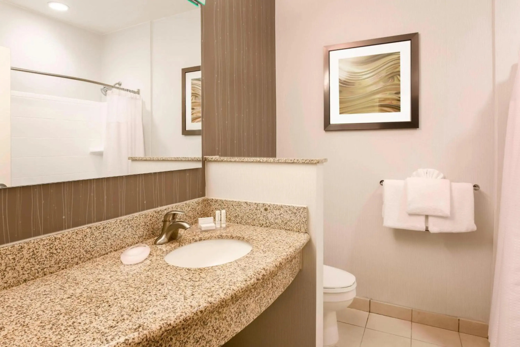 Courtyard by Marriott Dallas Arlington South - Général