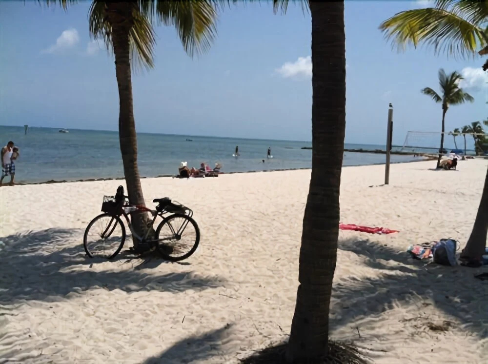 The Beach Bungalow - Général