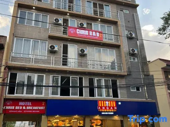 Modern Luxury Retreat | Studio Apartment | Sanepa