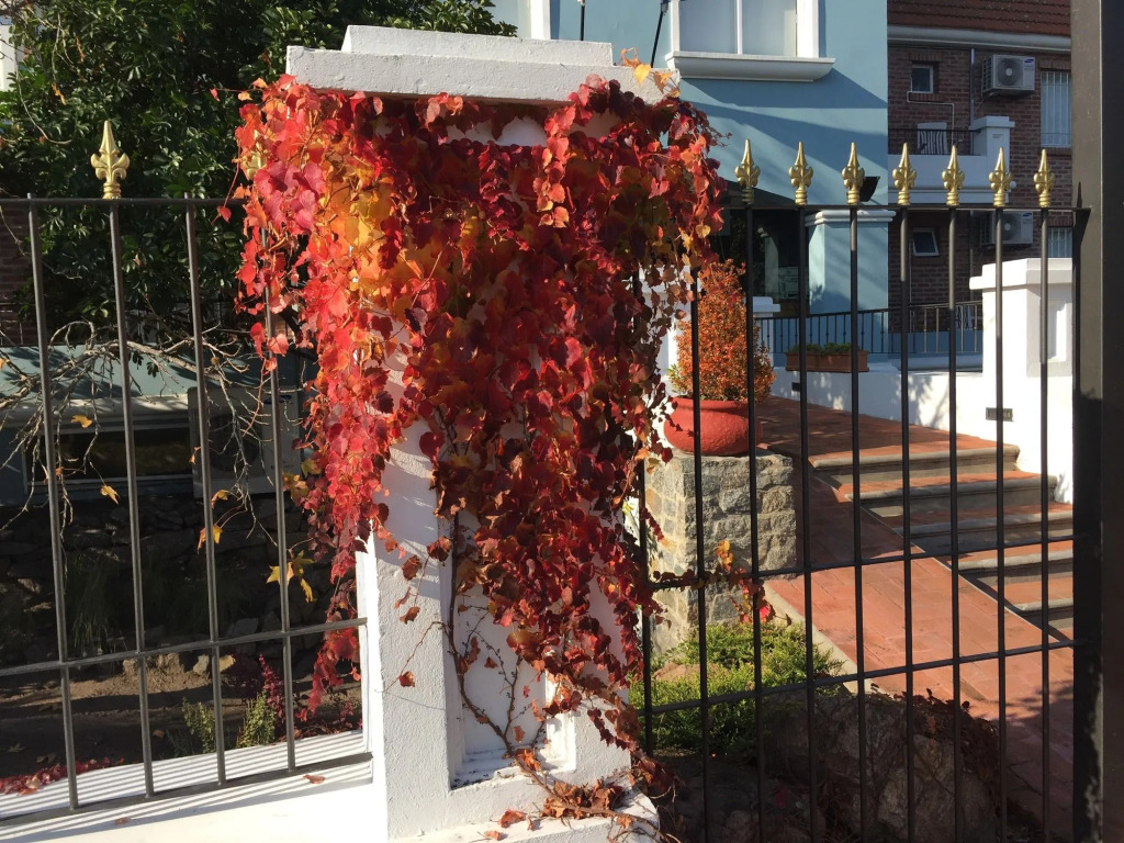 Regency Suites Boutique Hotel