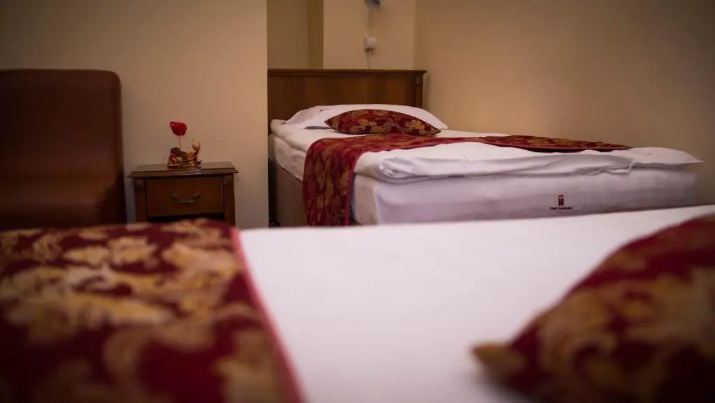 Hotel Transilvania - Chambres