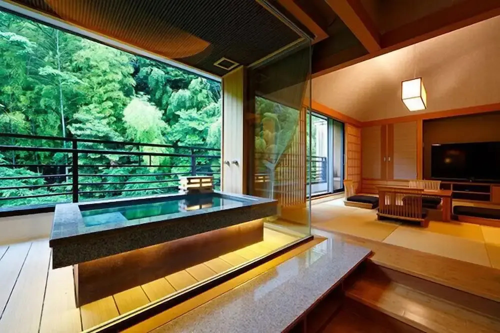 Номер Standard с видом на окрестности в Hakone Kamon