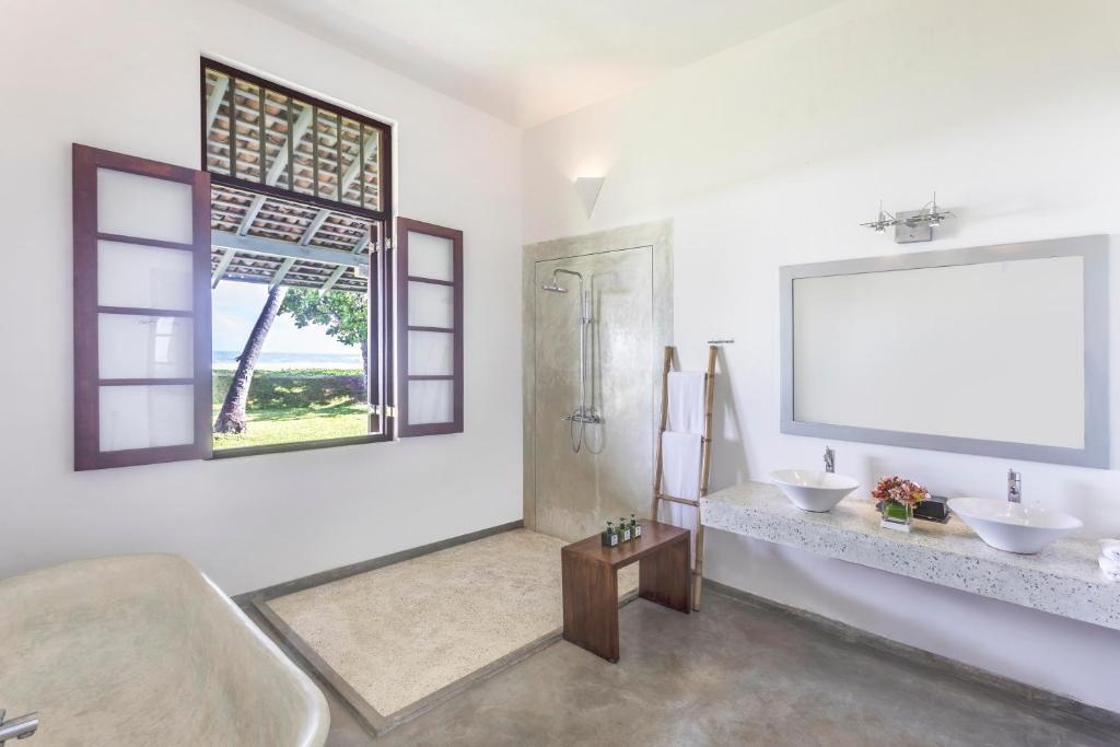The Frangipani Tree By Edwards Collection
