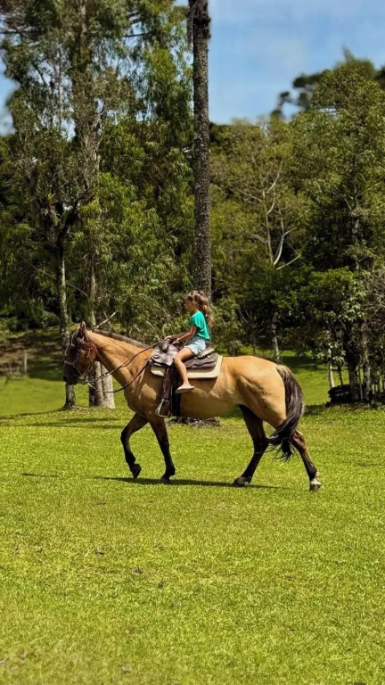 WoodStone Hotel Fazenda