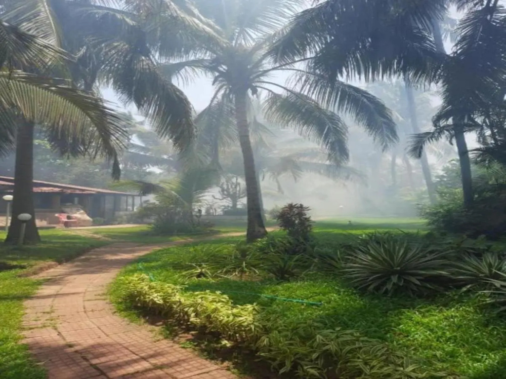 Jungle Hut- Annabelles Beach Apartments at Bernard Simao Calangute