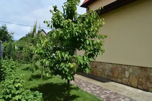 Usadba v kamishakh - фото 8