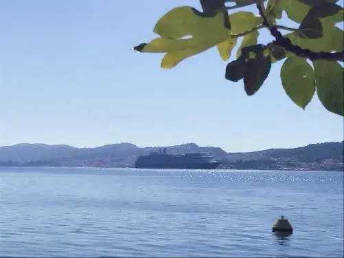 Katarina Apartments - фото 9