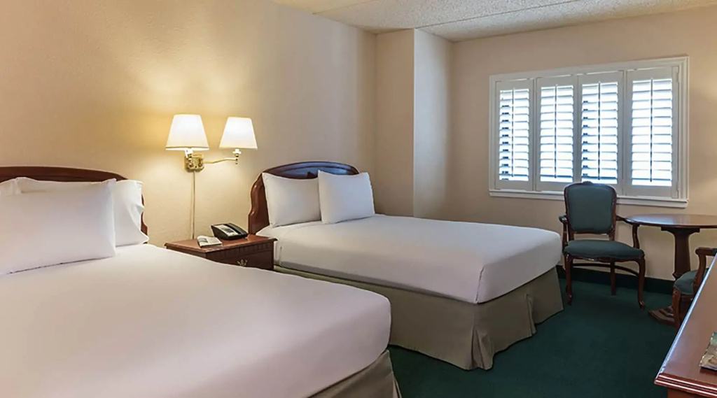 Hotel photo 42