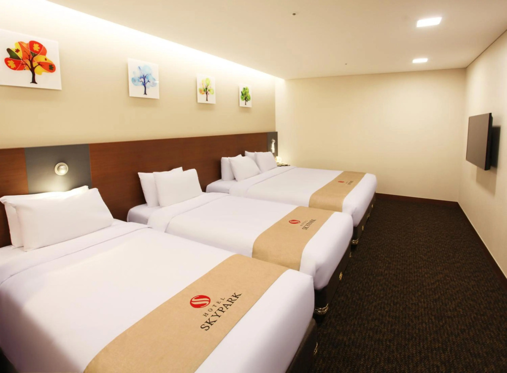 Hotel Skypark Kingstown Dongdaemun - Général