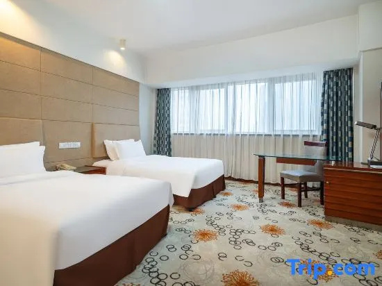 Standard Double room with city view (twin beds)