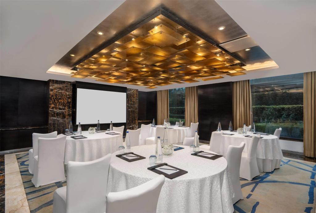Radisson Blu Plaza Delhi Airport - фото 34