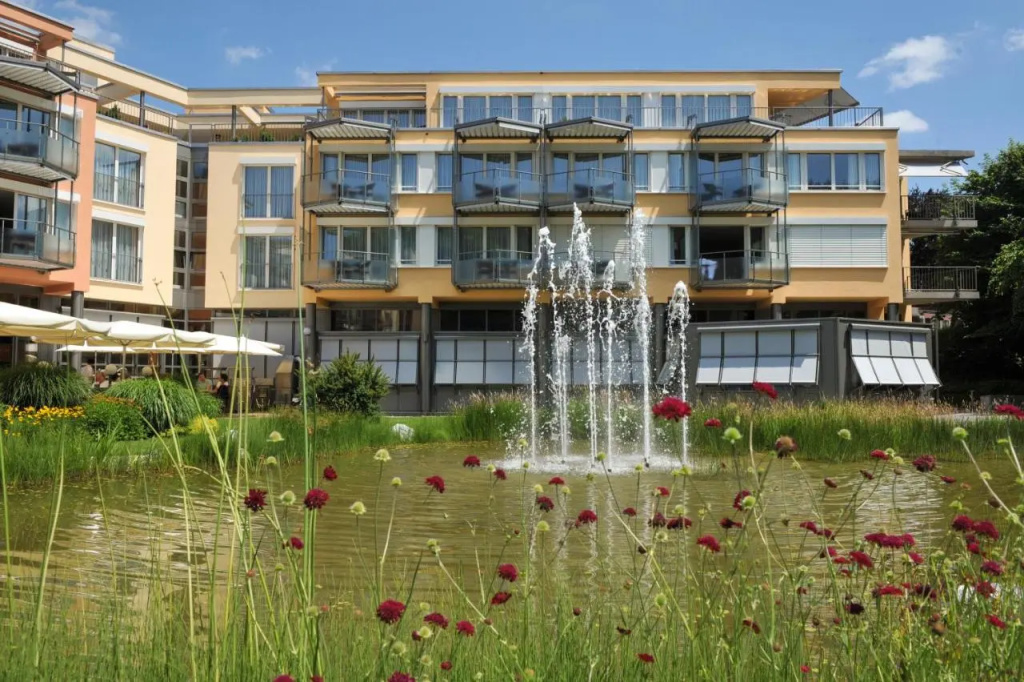Dorint Parkhotel Bad Zurzach - Général