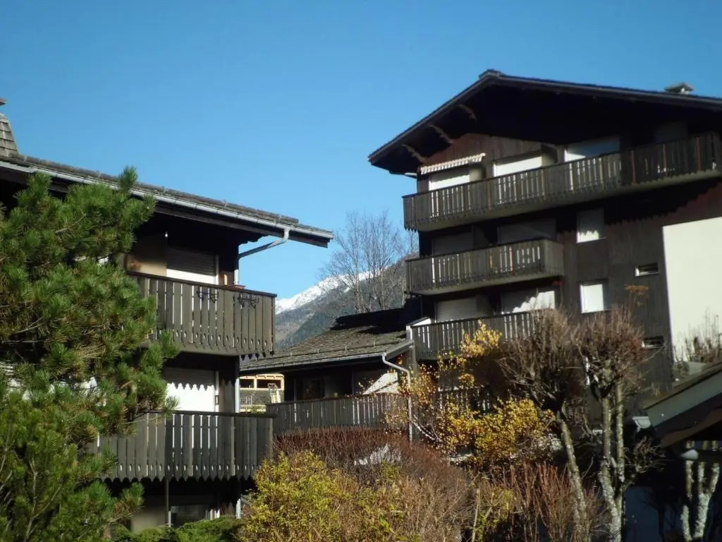 Voir la photo 1 — Appartement Chamonix-Mont-Blanc, 1 pièce, 3 personnes - FR-1-517-52