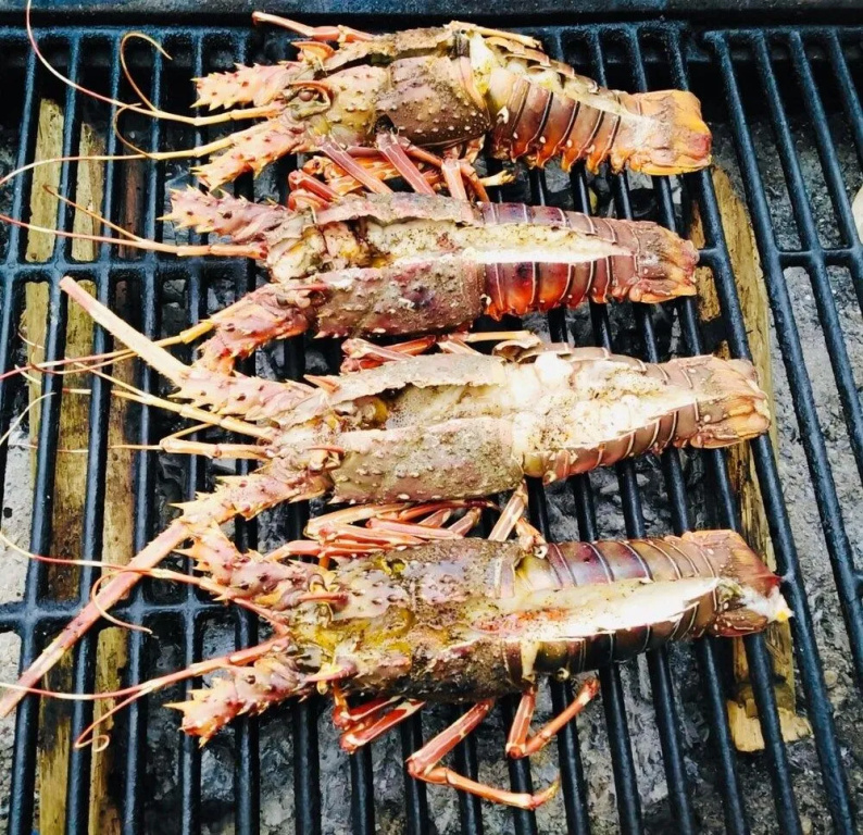 Hotel La Isla
