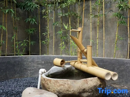 Spa & Wellness