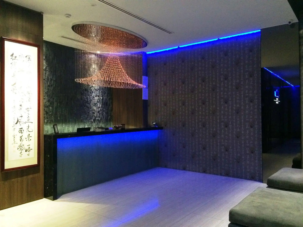 Bliss Hotel Singapore - Général