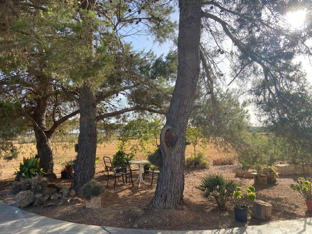 Finca Ca Na Brila