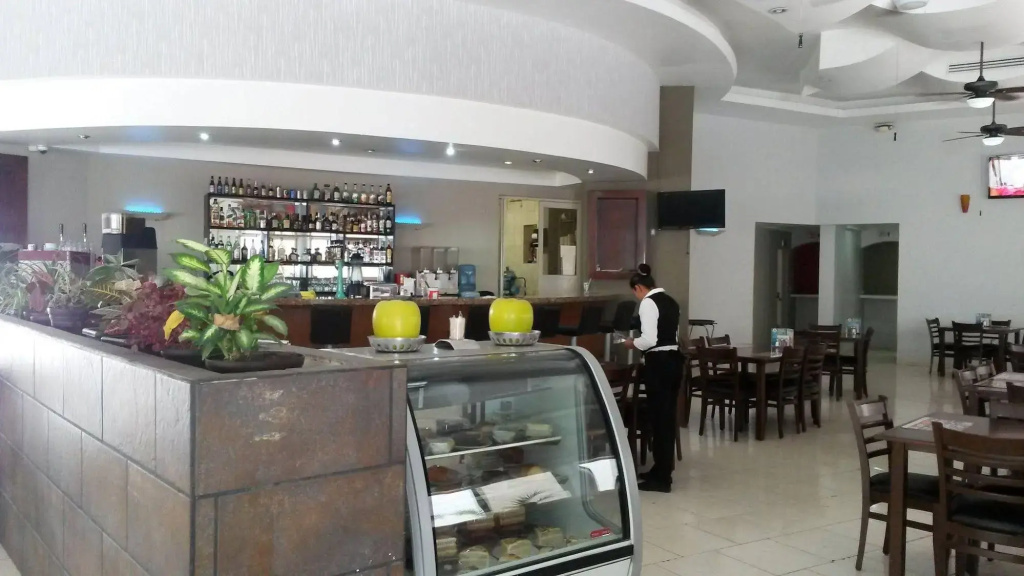 Hotel Maioris Guadalajara - Général