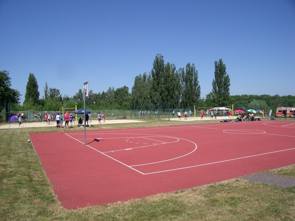 Image 13
