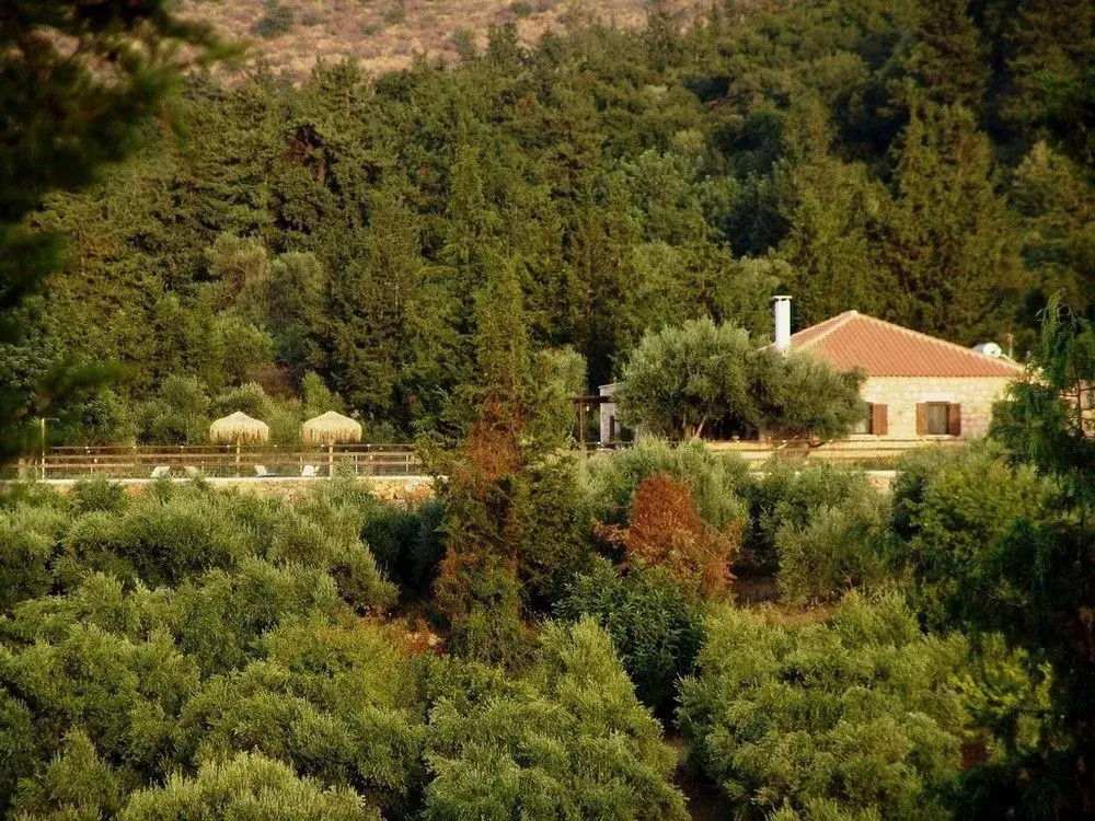 Boutique Villa Petra Chania Villa Petra Eleni