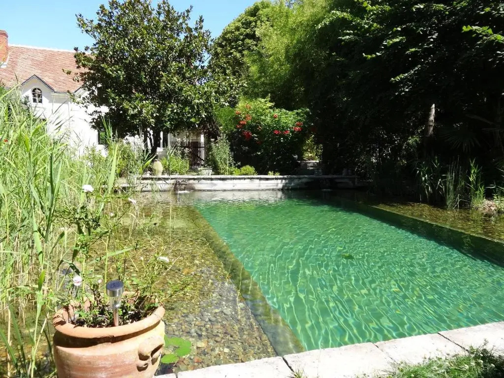 Afficher la photo 8 — Le Jardin de Canaan