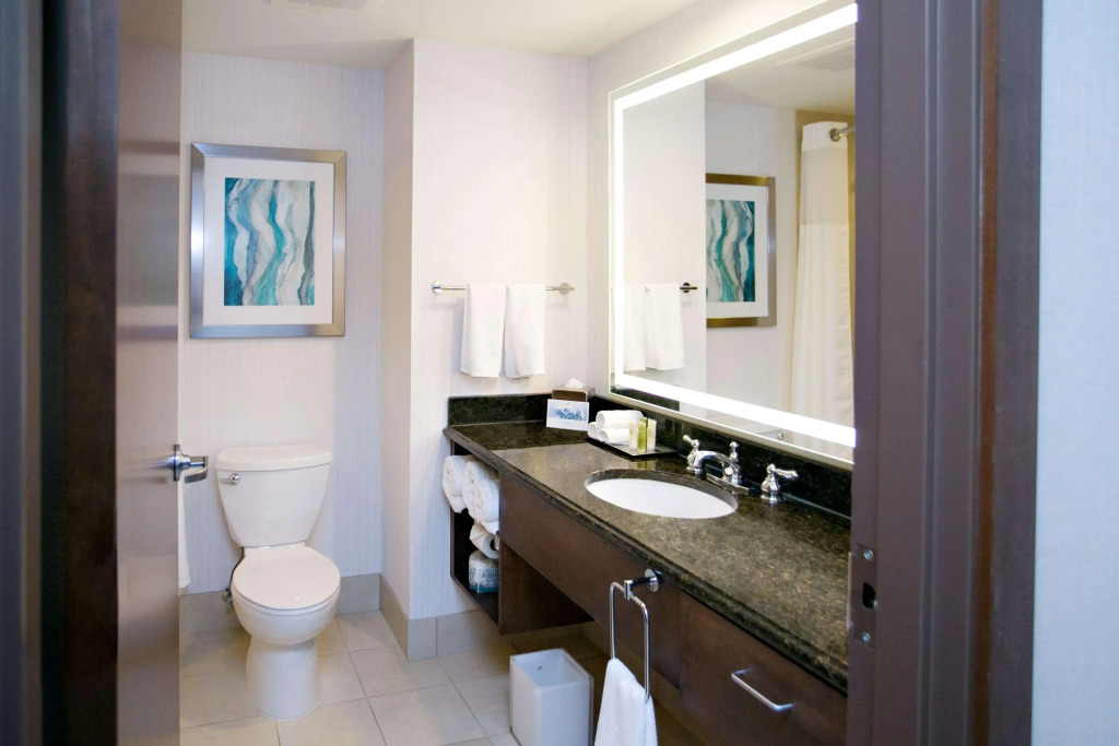 Hilton Minneapolis/Bloomington - фото 11